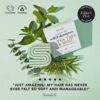 kitsch solid shampoo tea tree mint